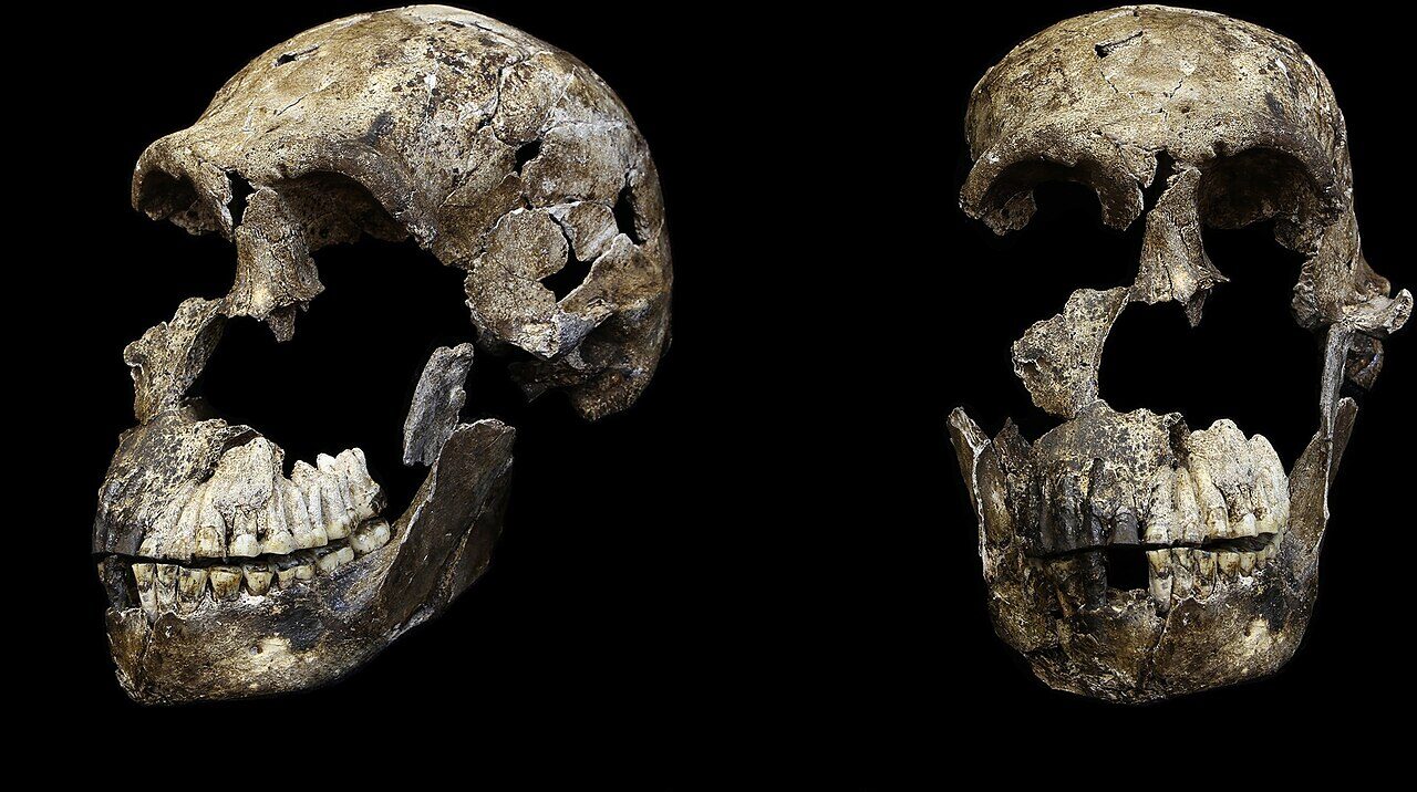 4. Homo naledi in Rising Star Cave: Primitive Bodies in a Shockingly Recent Time Slot
