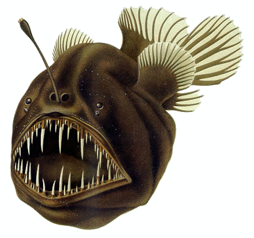 Aquarius – The Deep-Sea Anglerfish: Unusual Solutions to Invisible Threats