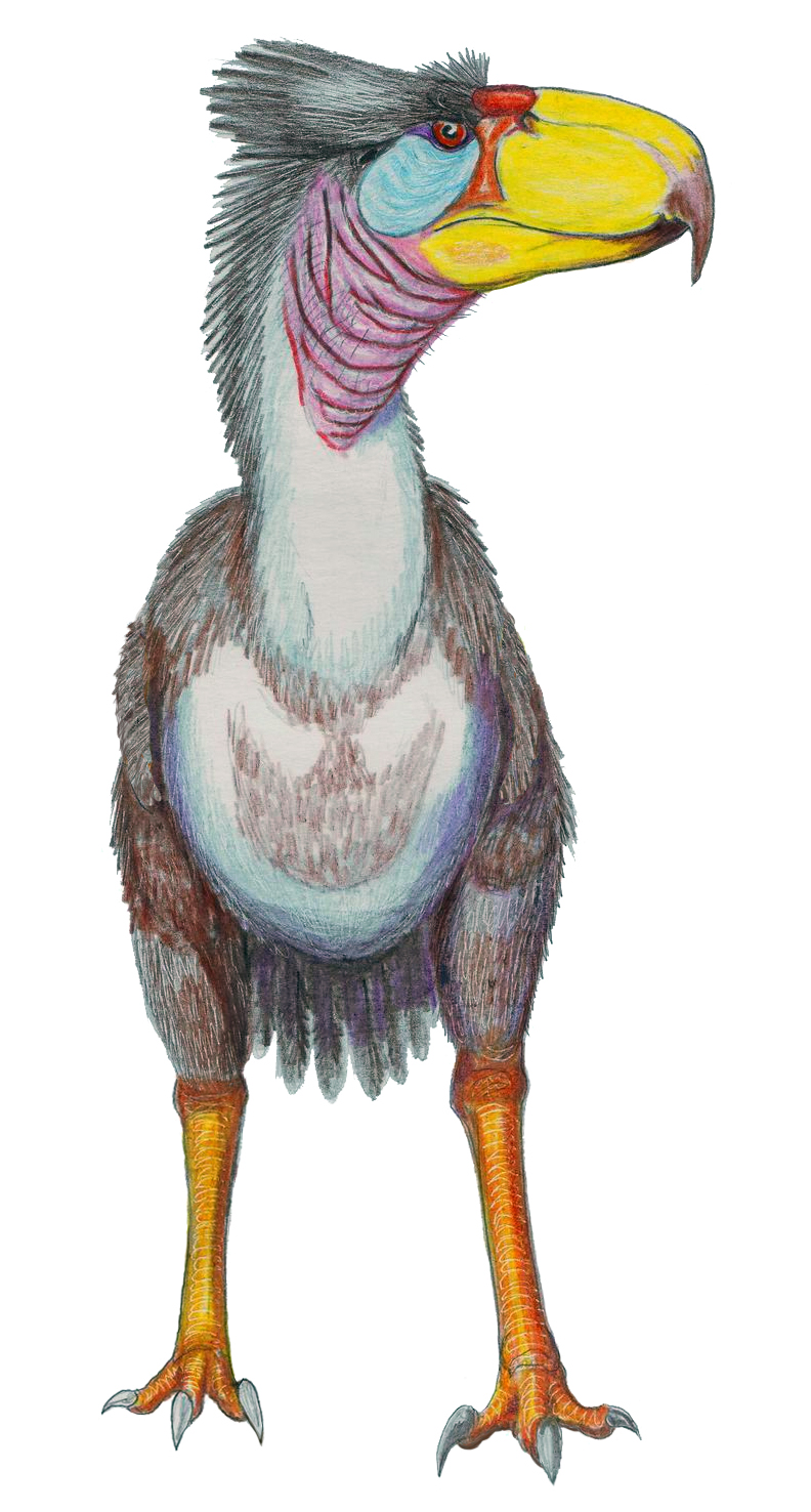 Terror Bird (Phorusrhacos and Kin) – The Bold Communicator Who Leads With Presence