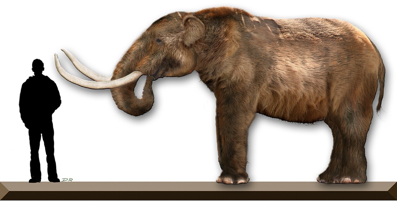 American Mastodon – The Boundary-Keeper Who Trusts Their Own Judgment