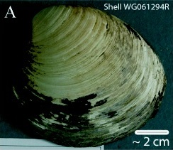 A Time Capsule of Climate and Human History