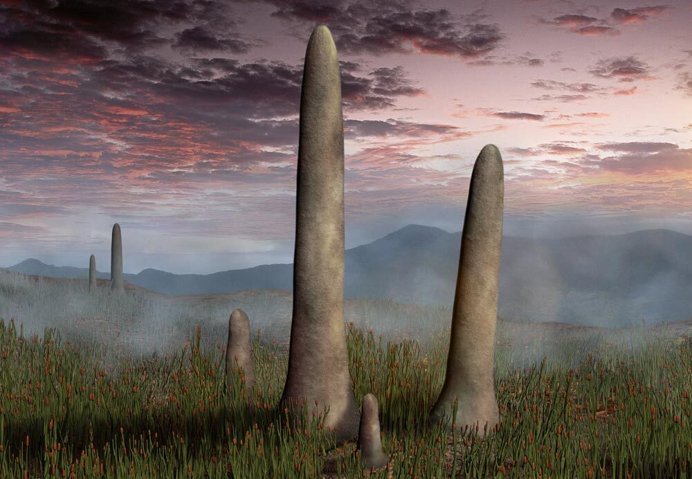 Why Scientists Believe Earth Was Once Covered in Giant Mushrooms