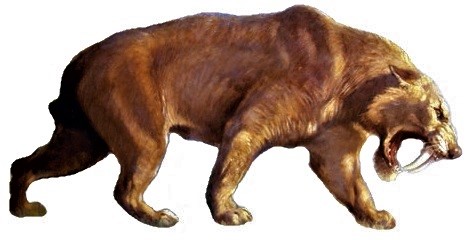 Saber-Toothed Cat – The Ambitious Strategist Who Waits for the Perfect Moment 