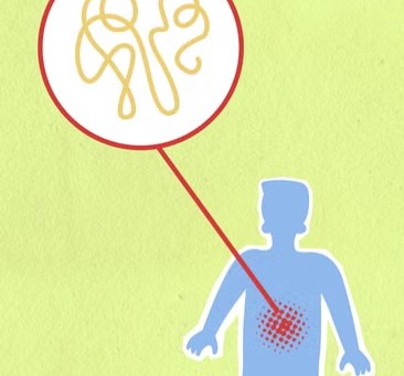 The Mechanism Behind Gut Feelings Is Being Studied as a Pattern Recognition System That Operates Faster Than Any Conscious Thought Process