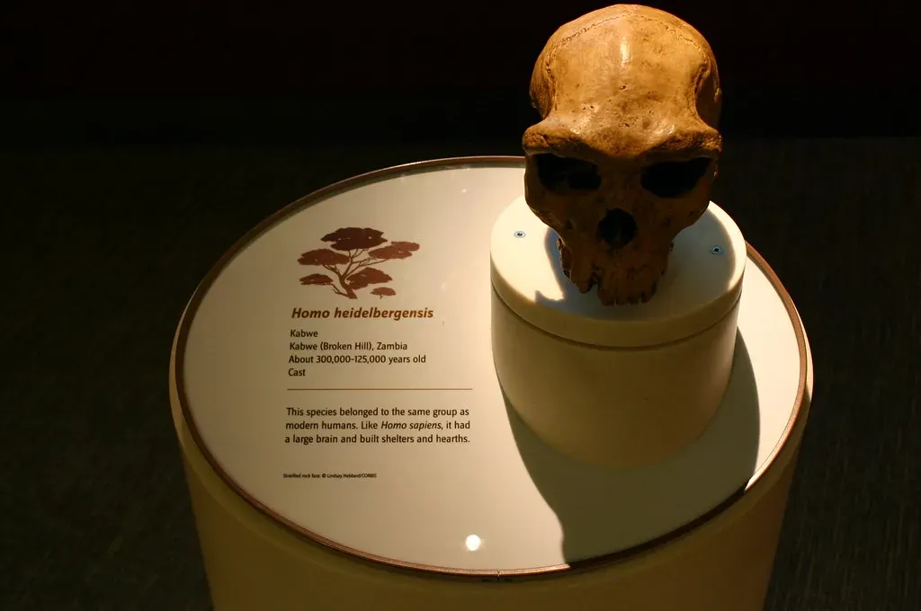 10 Strange Human Species That Lived Alongside Our Ancestors