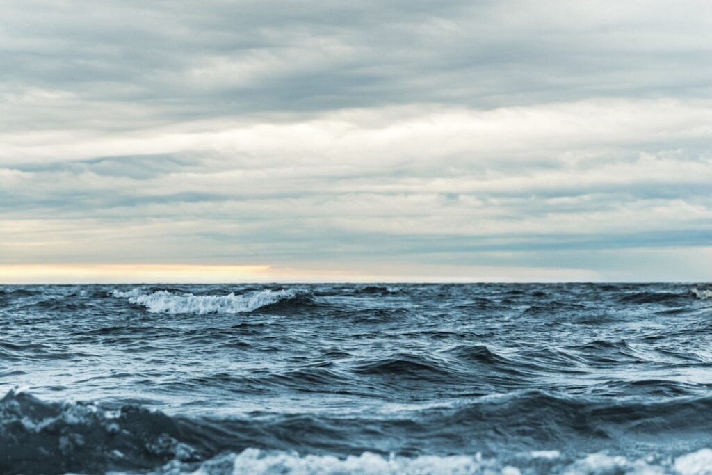 Marine Biology Says the Ocean Produces Roughly Half the Oxygen You Breathe Right Now - Thanks to Organisms So Small They Are Invisible Without Magnification and Unknown to Most People
