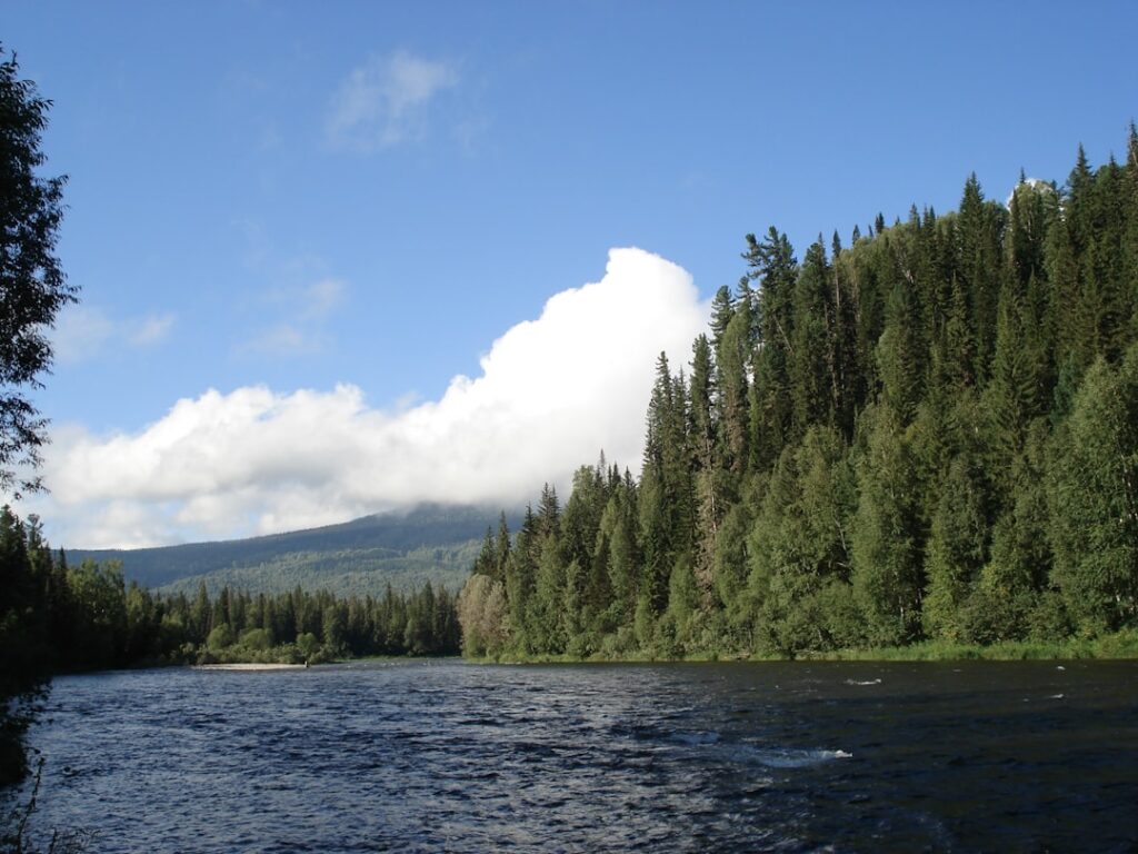 The River in Siberia Just Turned a Colour Geologists Have No Historical Reference For - And the Cause Is Stranger Than the Colour