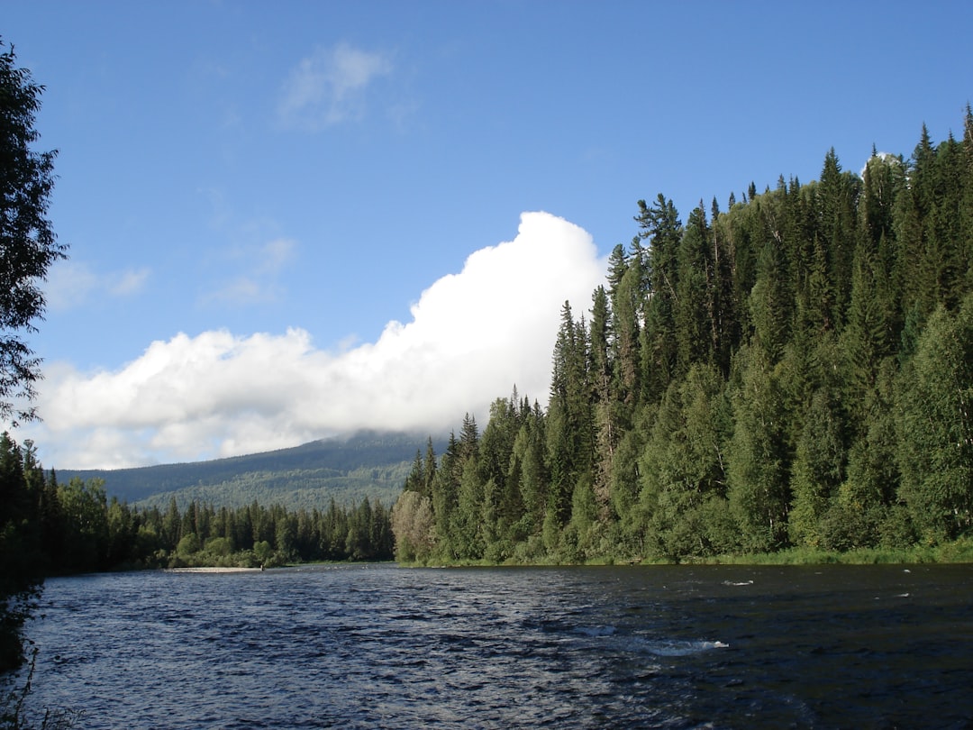 The River in Siberia Just Turned a Colour Geologists Have No Historical Reference For – And the Cause Is Stranger Than the Colour