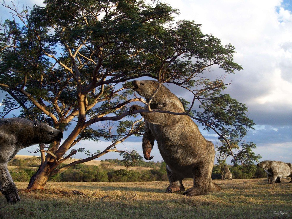 Giant Ground Sloth (Megatherium) – The Calm Stabilizer Who Refuses to Be Rushed