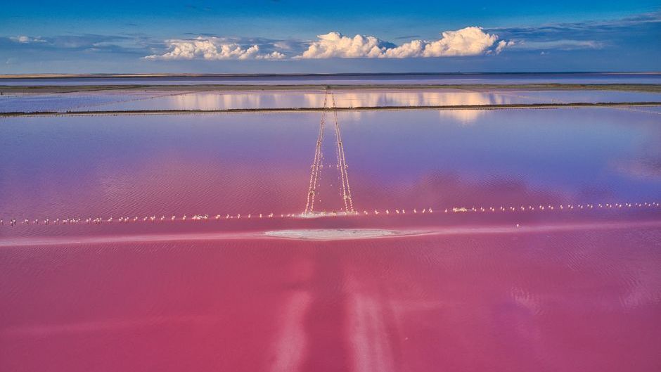 The Lake That Turns Blood Red Once a Year - and the Science Behind It