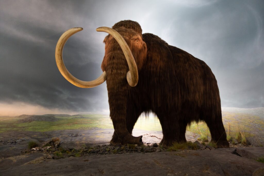 10 Ancient Timeline Facts So Strange They Sound Completely Wrong - Until You Check the Sources