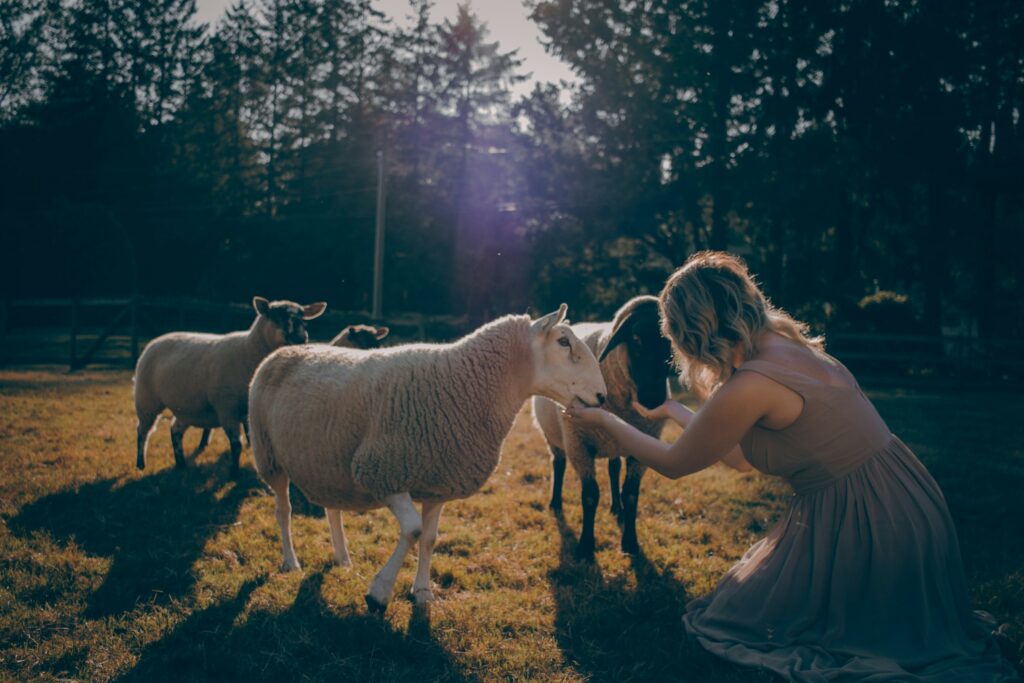 Psychology Says People Who Talk to Their Animals the Way They Talk to People Are Not Projecting - They Are Using a Social Brain That Has No Off Switch and That Was Never Designed to Stop at the Edge of Its Own Species