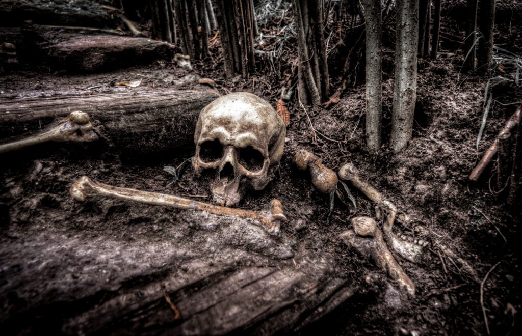 Why Death Remains One of Science’s Most Difficult Questions