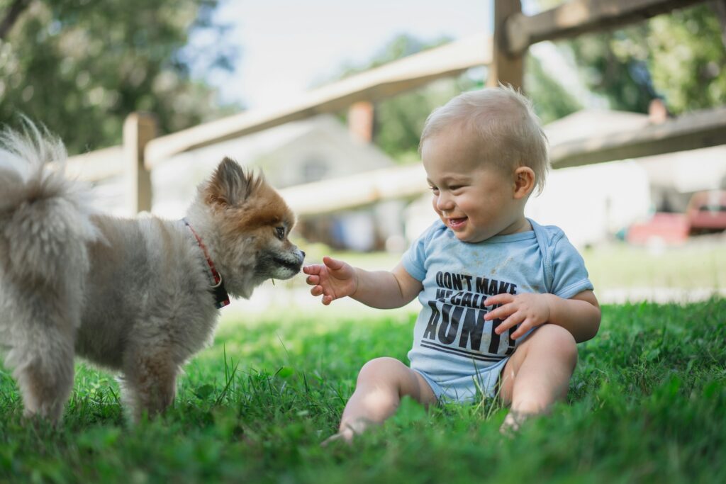 Psychology Says Children Who Grow Up Around Animals Consistently Develop Something That Children Without Animals Score Lower On, and It Cannot Be Taught in a Classroom at Any Age With the Same Effect
