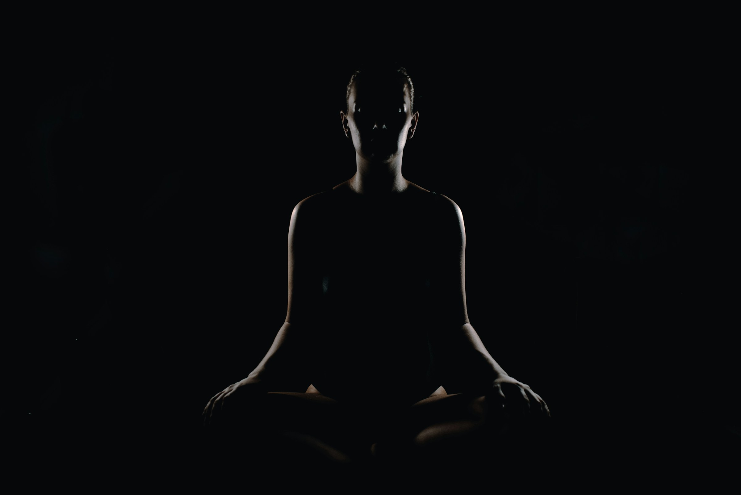 What Consciousness Research Reveals About Human Mortality