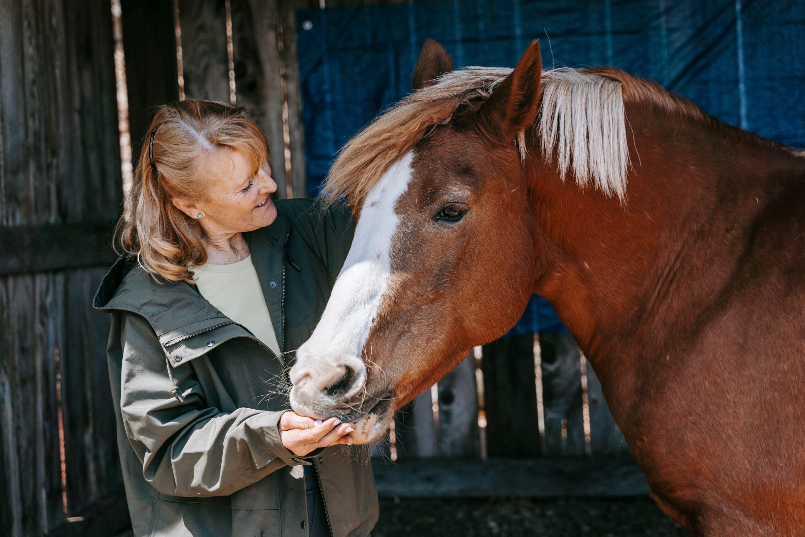 Neuroscience Says When a Horse Responds to Your Emotional State Before You Have Said or Done Anything It Is Not Reading Your Mind - It Is Reading Your Nervous System and Research Shows It Is Better at This Than Most Humans Are