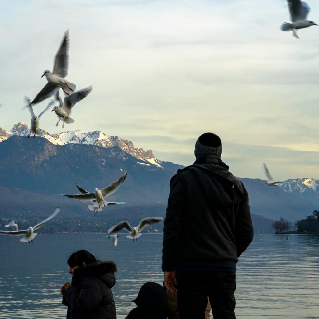 The Bird Species Each Zodiac Sign Sees Right Before Major Life Events (Ranked by Frequency of Sightings)