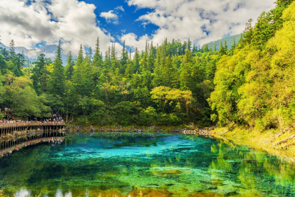 6 Lakes That Change Colour With the Seasons - and the Chemical Reaction Driving Each One