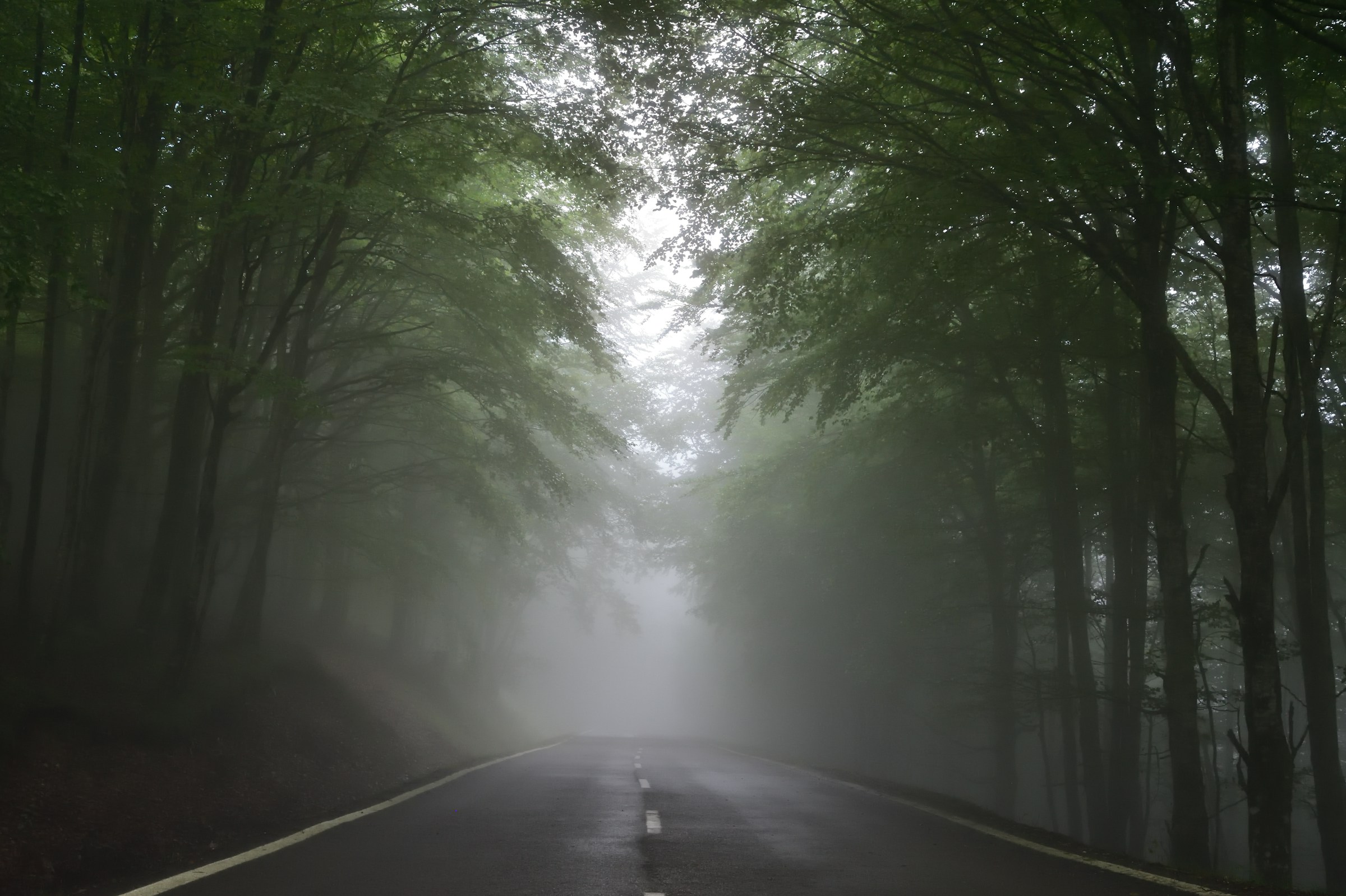 10 Natural Phenomena That Were Reported as Supernatural Events for Centuries Before Science Found a Partial Explanation