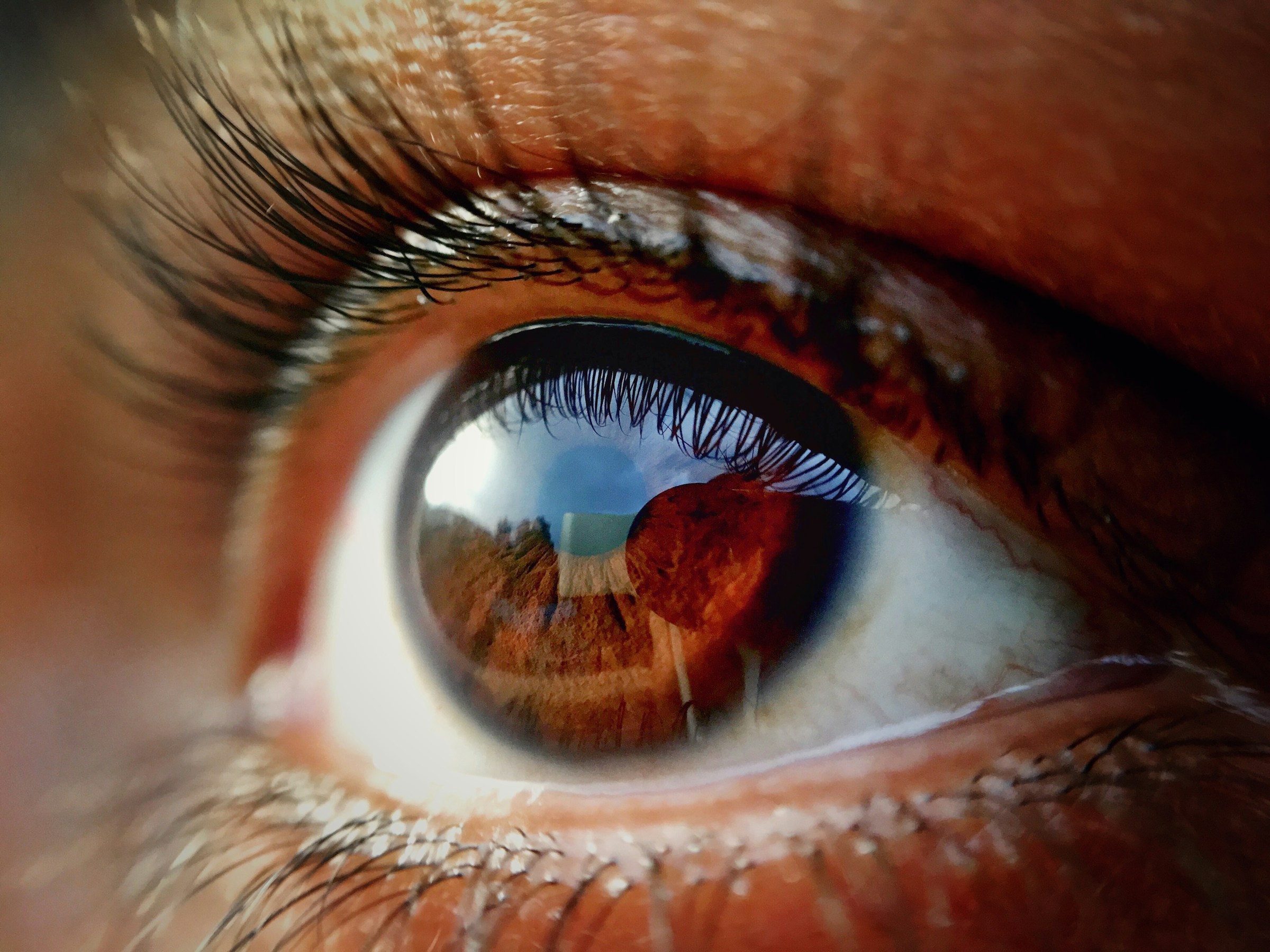 Neuroscience Says the Split-Second Shadow You Think You See in the Corner of Your Eye Is Your Brain Misinterpreting a Rapid Drop in Your Blood Pressure as a Physical Threat