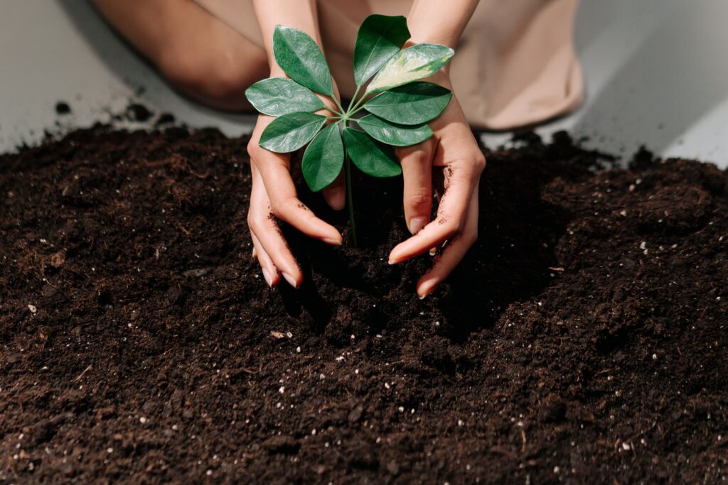 Neuroscience Says People Who Regularly Garden Have Access to a Soil Bacterium That Raises Serotonin in the Brain - It Works Faster Than Most People Expect and Has No Side Effects That Have Been Documented
