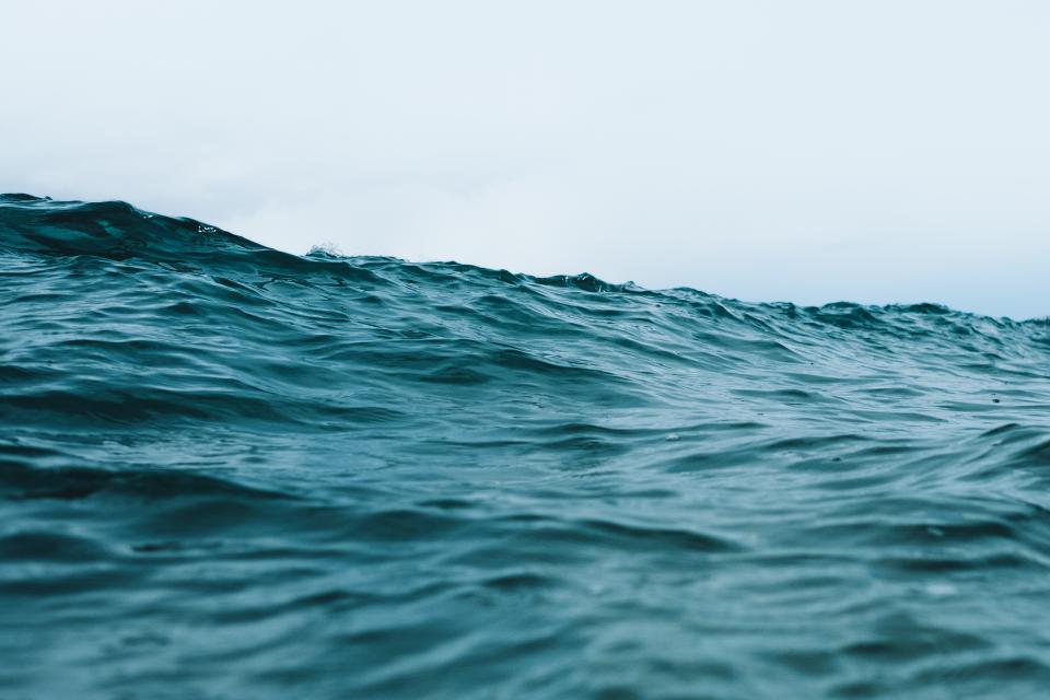 Oceanography Says a Layer of Water Exists in the Pacific That Has Not Mixed With the Surface in Over a Thousand Years and What Lives There Defies Current Classification