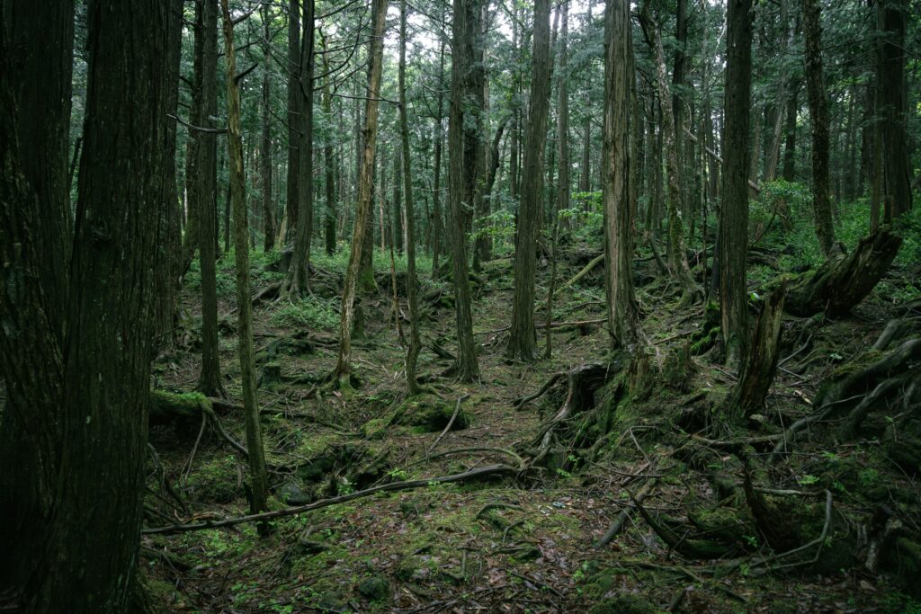 6 Locations Where Every Culture That Has Ever Inhabited Them Has Reported Identical Unexplained Phenomena