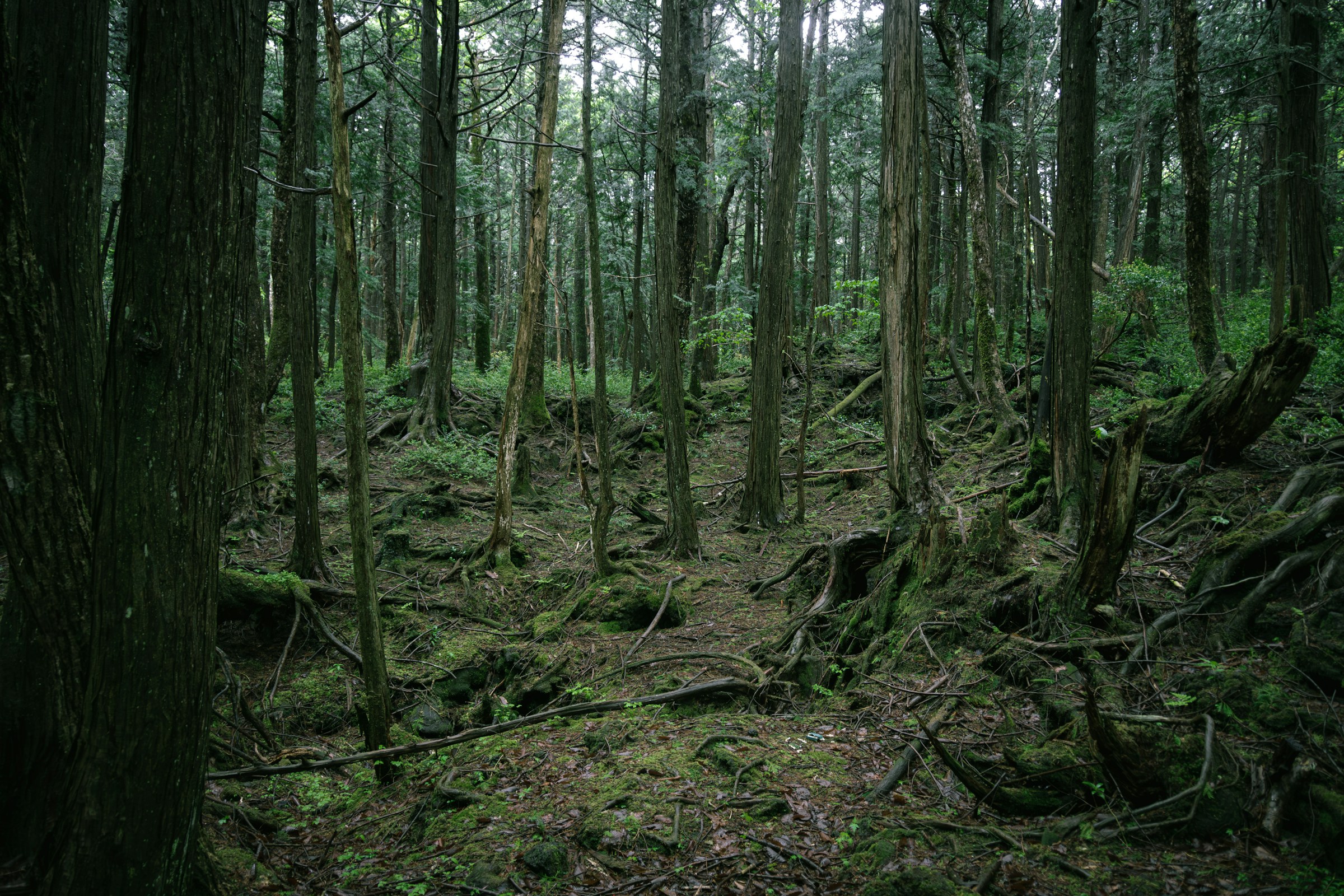 6 Locations Where Every Culture That Has Ever Inhabited Them Has Reported Identical Unexplained Phenomena