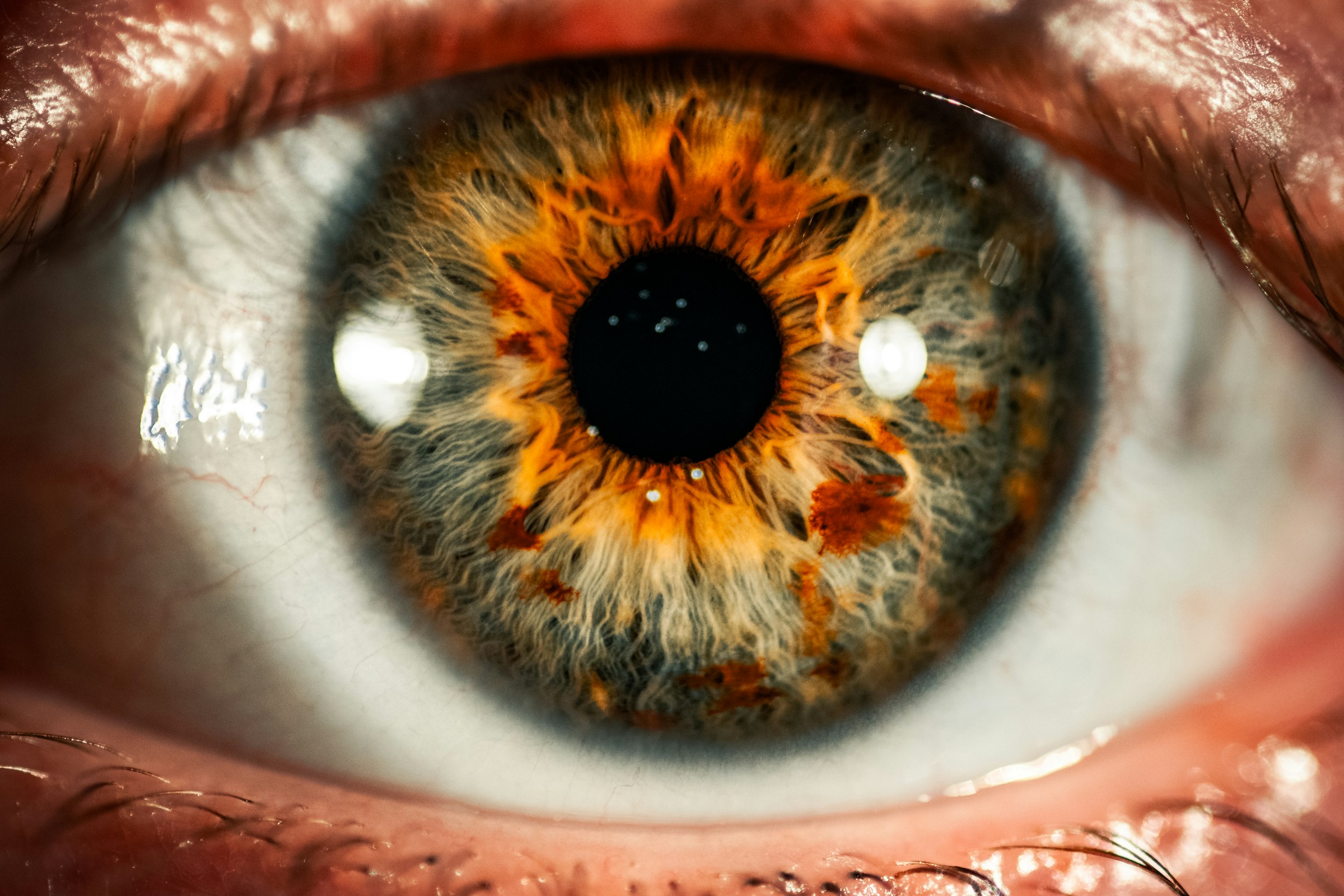 The Science Behind the “Life Flashing Before Your Eyes” Phenomenon