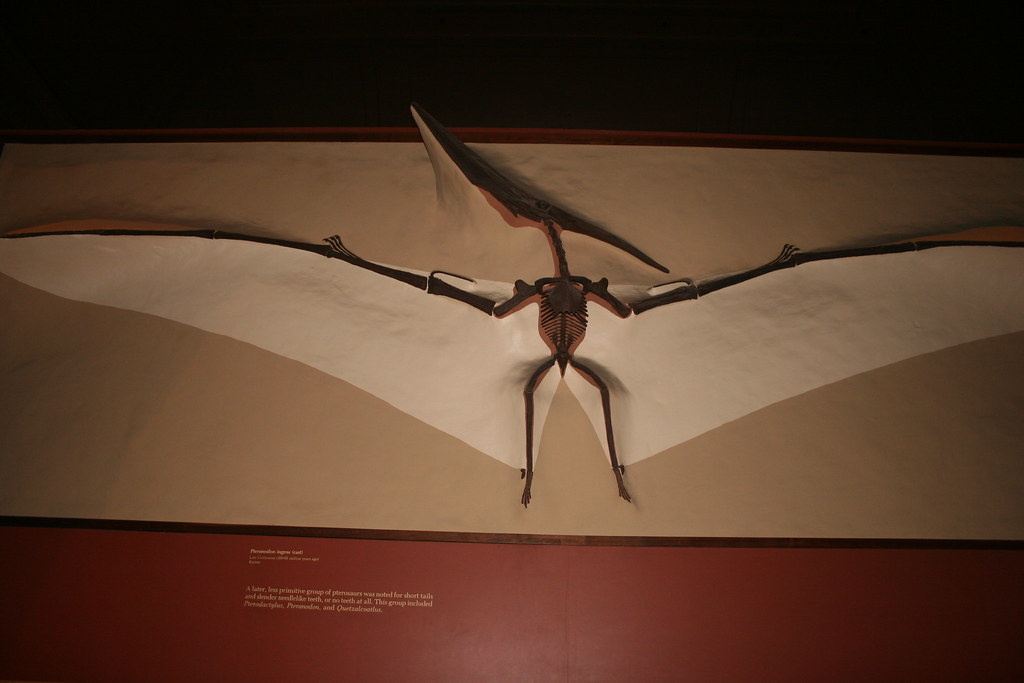 12 Historical Accounts of Creatures That Corresponded Exactly to Animals Found in the Fossil Record - Described Before Those Fossils Were Discovered