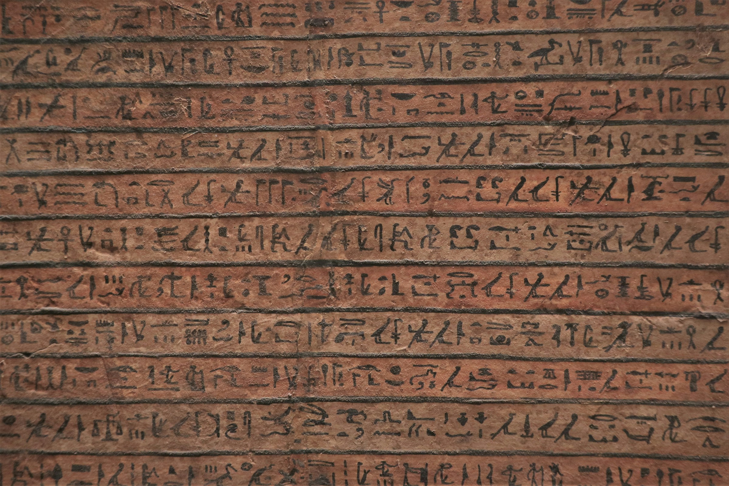 12 Ancient Languages That Share Identical Root Words Across Civilisations Separated by Oceans and Thousands of Years