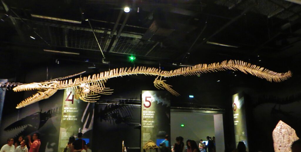 The Largest Predator Ever to Walk the Surface of This Planet - and the Single Event That Ended It