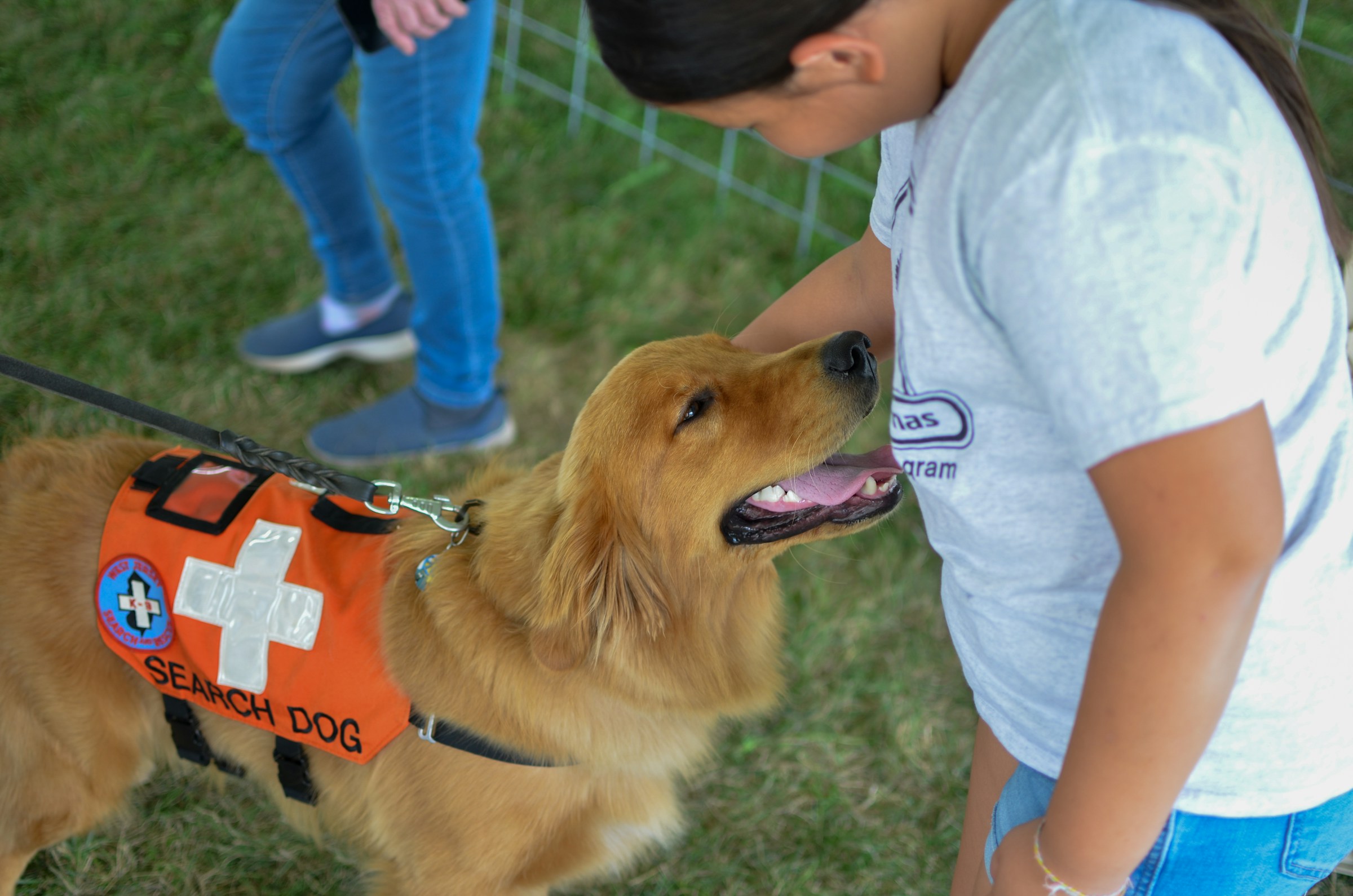 Neuroscience Says Dogs Trained to Detect Cancer Seizures and Blood Sugar Drops Are Not Operating Through Superior Scent Alone – the Brain Architecture Behind What They Are Actually Detecting Is Something Scientists Are Only Beginning to Map