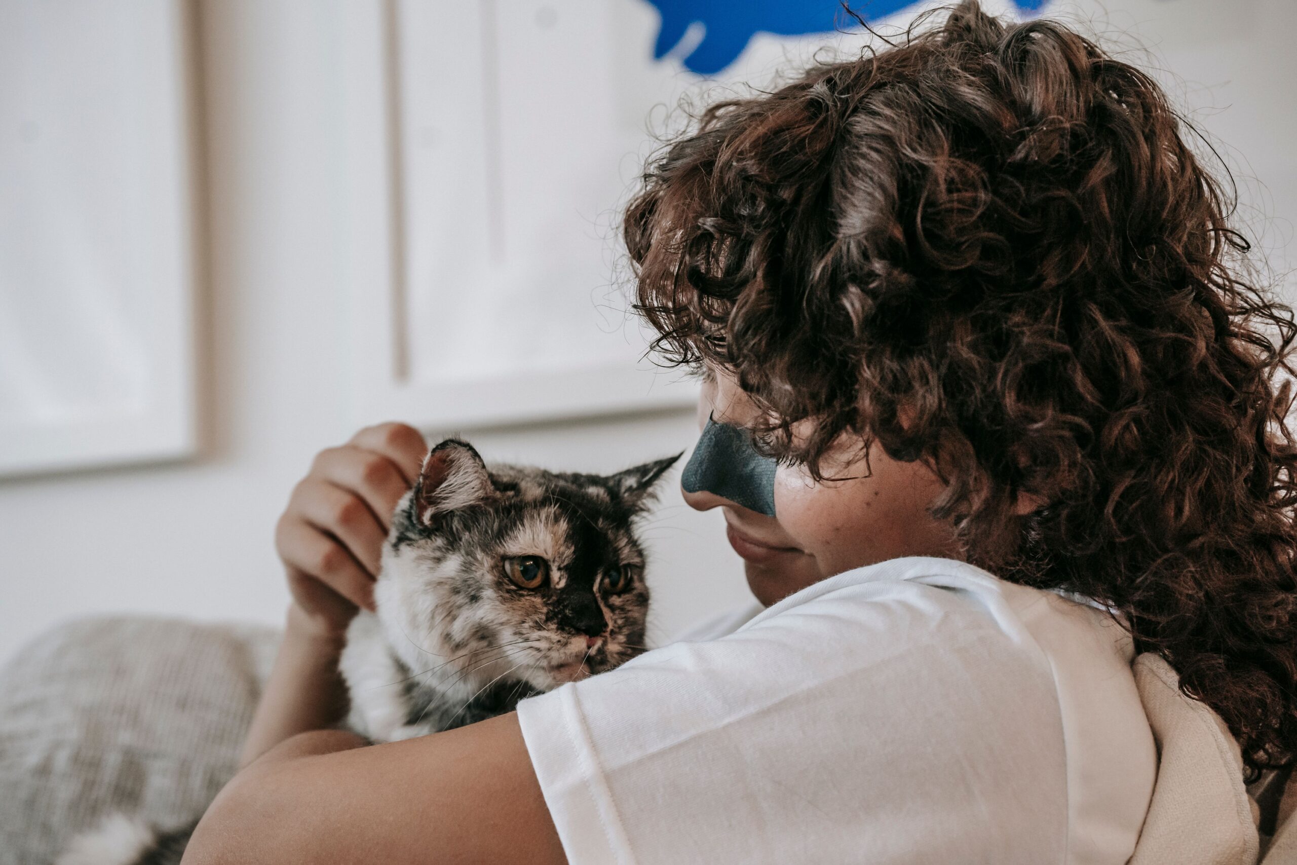 Neuroscience Says When a Cat Purrs on Your Chest the Frequency Falls Within the Range Known to Promote Bone Density and Tissue Healing – the Fact That It Also Calms the Human Nervous System May Not Be a Coincidence