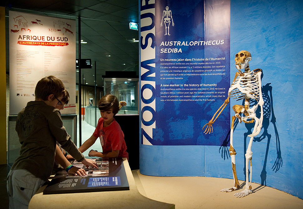14 Skeletons Unearthed That Quietly Rewrote the Human Story