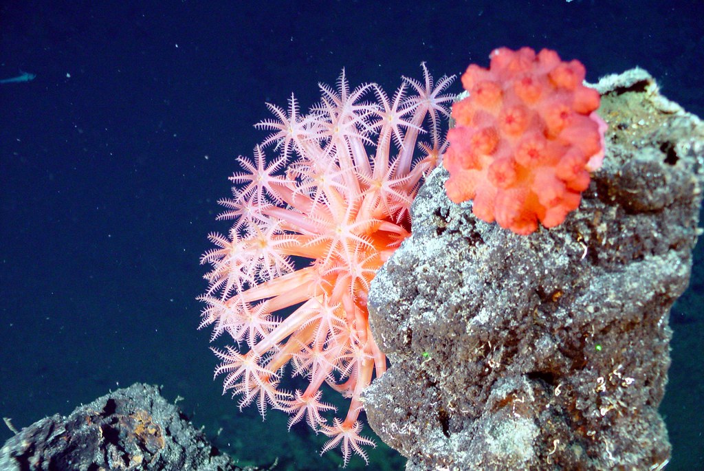 11 Underwater Geological Formations That Cannot Exist at the Depths They Were Found by Current Models