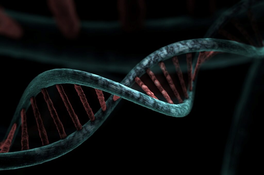 9 Genetic Sequences in Human DNA That Appear in No Other Primate and Have No Confirmed Evolutionary Origin