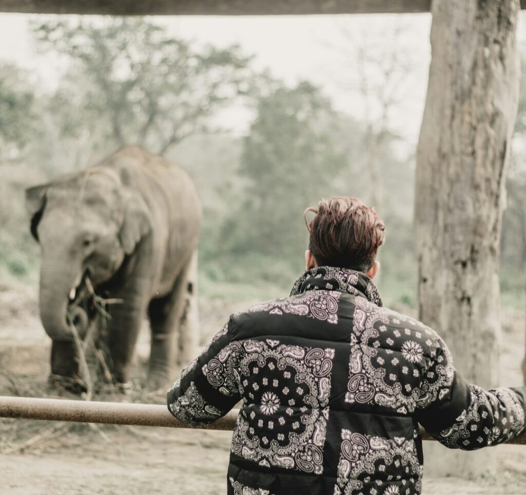 Neuroscience Says When You Feel Inexplicably Calm After Watching a Large Animal Move Slowly Through Open Space Your Brain Has Entered a State of Passive Attention That Is One of the Hardest States for the Modern Mind to Reach Any Other Way