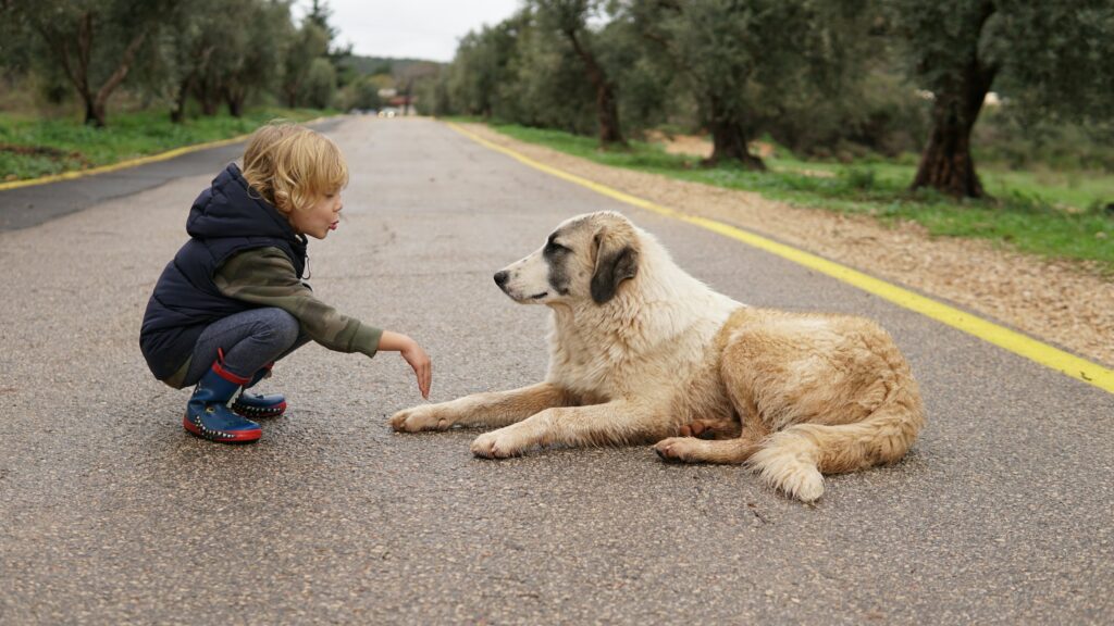 Psychology Says Children Who Are Afraid of Animals Almost Always Lose That Fear After a Single Extended Positive Interaction Because the Amygdala Updates Threat Assessments Faster for Living Creatures Than for Any Other Category of Stimulus