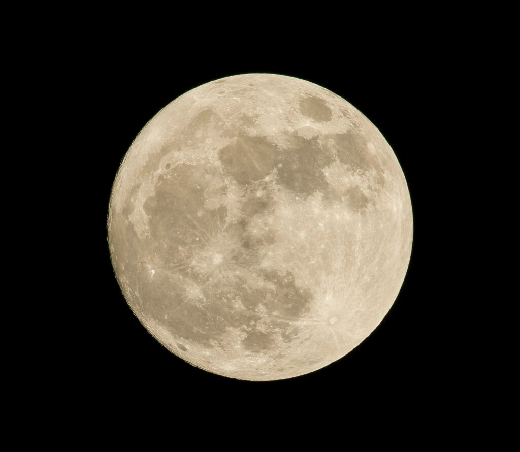 Could the Moon Still Be Geologically Alive?