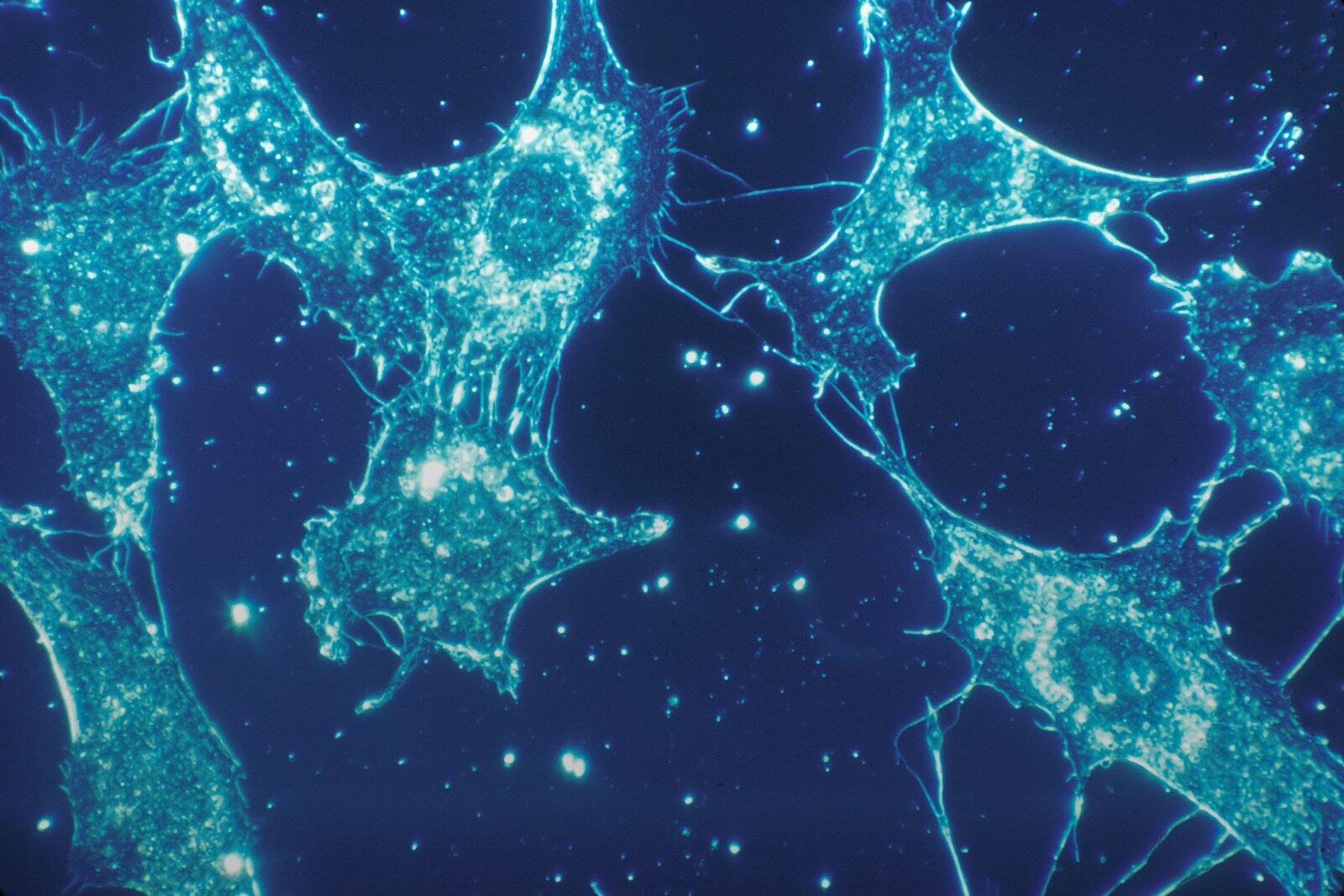 Why AI-Designed Lifeforms Don’t Fit Our Old Definitions 