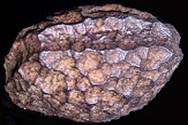 #7 - The Wolfsegg Iron: A Cube That Shouldn't Be In Coal