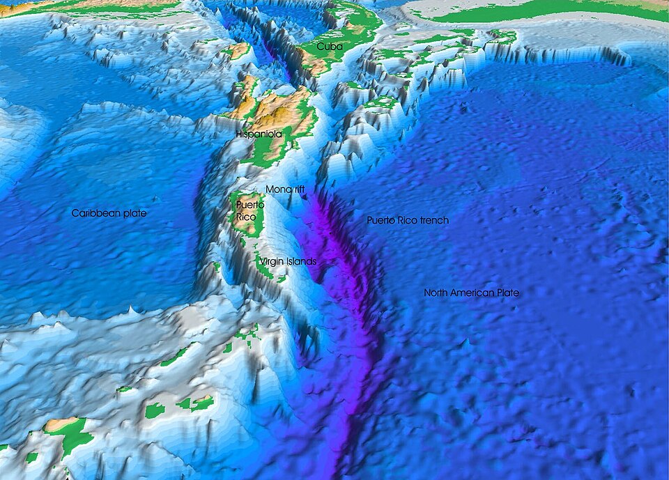 9. Puerto Rico Trench: A North Atlantic Outlier With Its Own Microbial and Nematode Signature