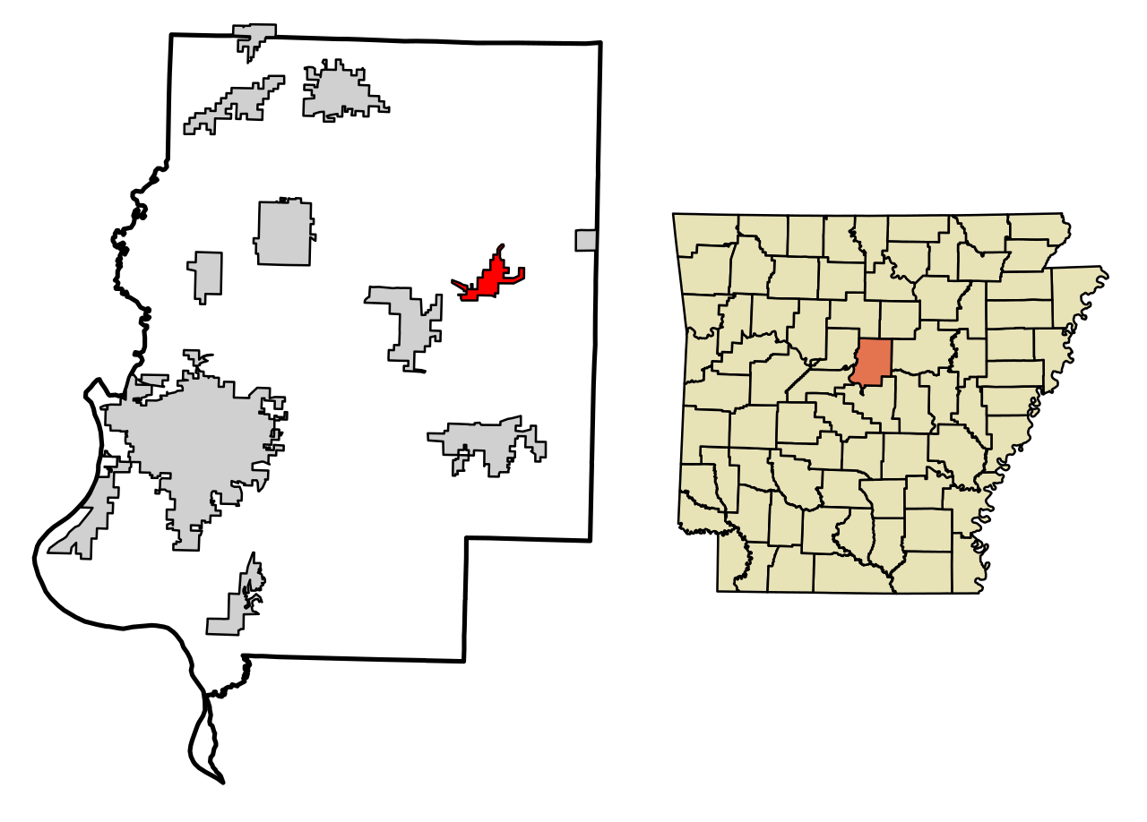 1. The Enola, Arkansas Swarm: A Small Town That Wouldn’t Stop Shaking