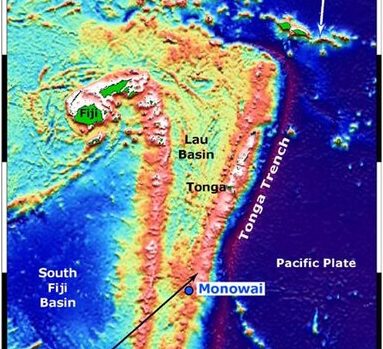 3. Tonga Trench: Layered Scavengers Living at Pressure Limits