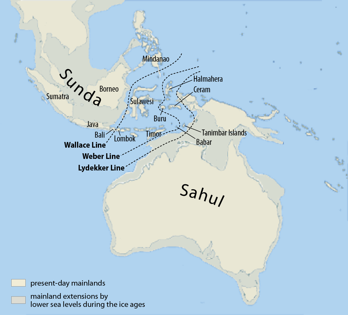 2. The Disappearance Of The Sahul Land Bridge