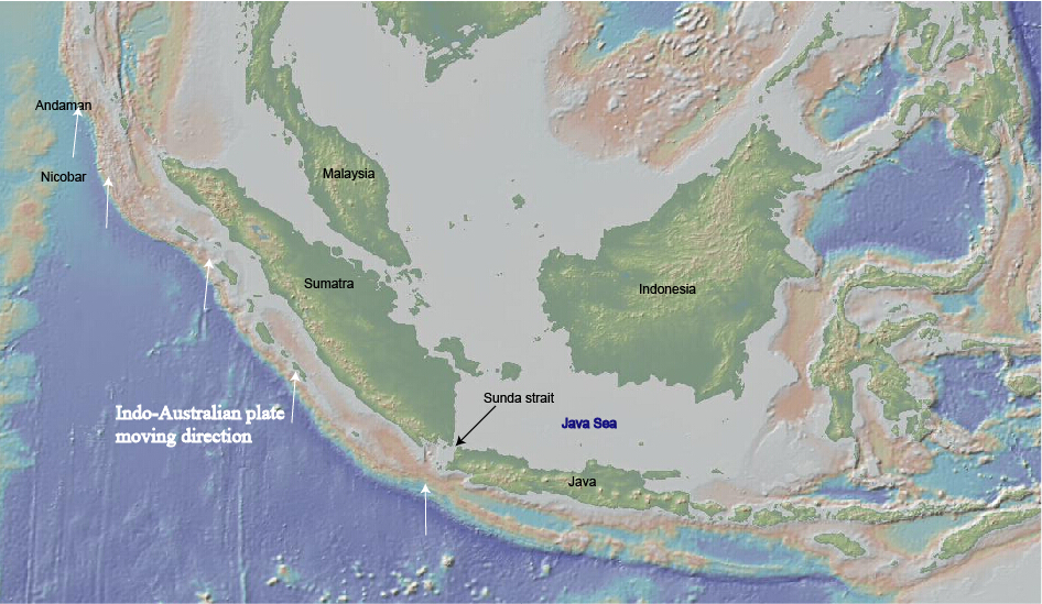 8. Java Trench’s “Mystery” Predatory Tunicate: A Floating Trap in the Hadal Dark