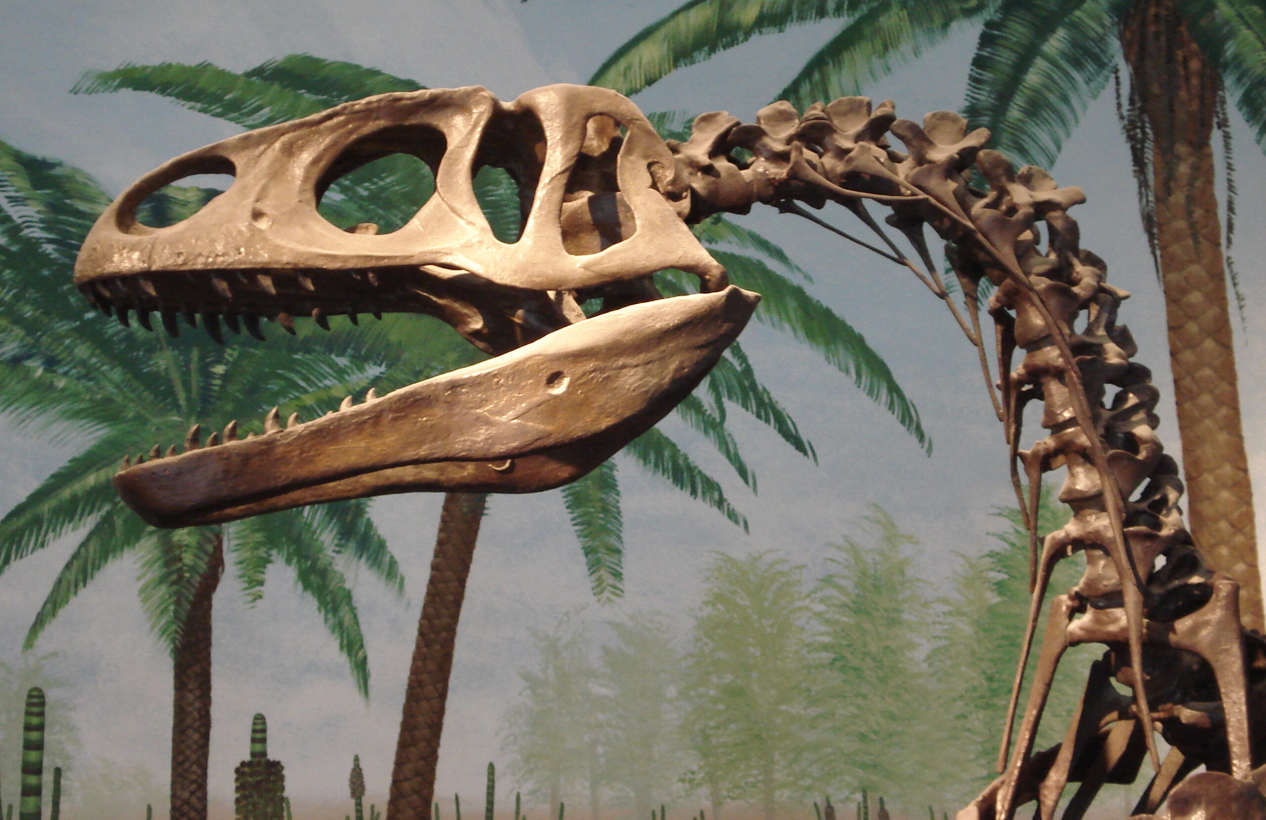 #14 - The Dinosaur Skull Misfiled as the Wrong Species for 67 Years