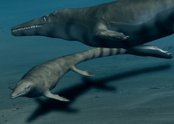 Inside the Life of a Cretaceous Super-Predator