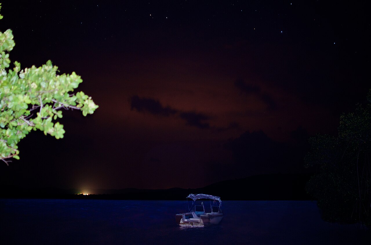 1. Mosquito Bay, Puerto Rico (And Other Bioluminescent Bays)
